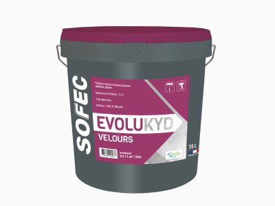 665-peinture-2en1-impression-finition-veloutee