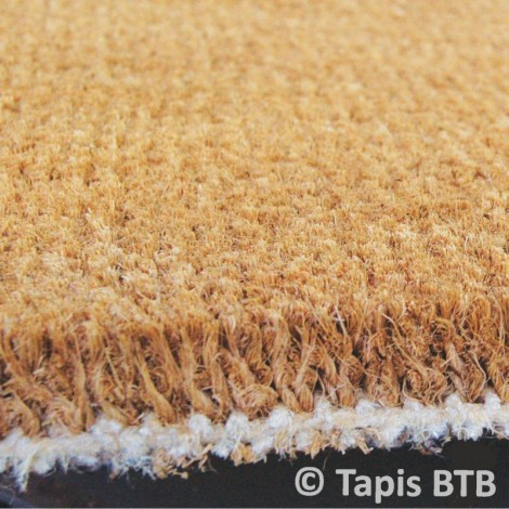 btb-extra-web-tranche-2-1
