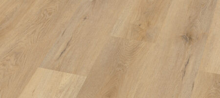 ofd-030-087-450x200