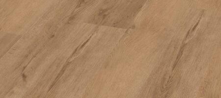 ofl-070-024-perspective-450x200