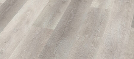ofr-030-013-perspective-1-450x200